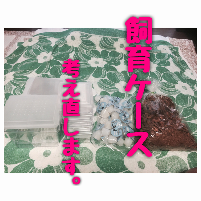 4B4E646A-81D7-4A94-9693-859A07EB0C30.jpg